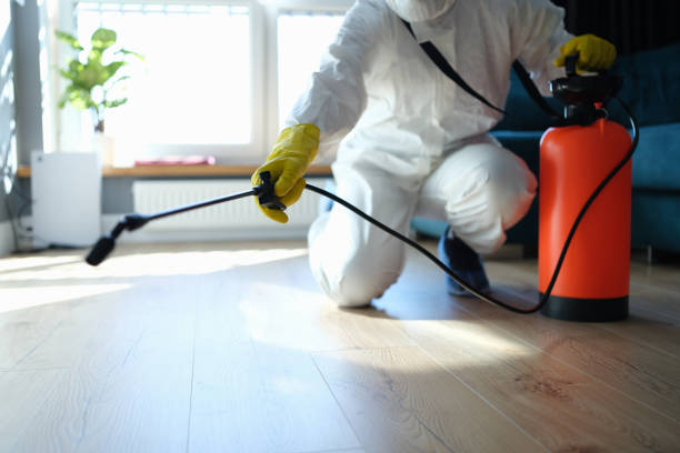 Reliable Blood Cleanup contractor in Sandia, TX by Trauma Clean Pros